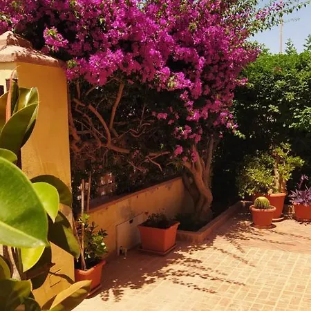 Bouganville Olmedo Exterior photo