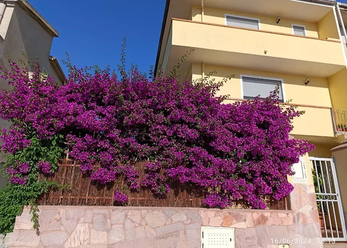 Bouganville